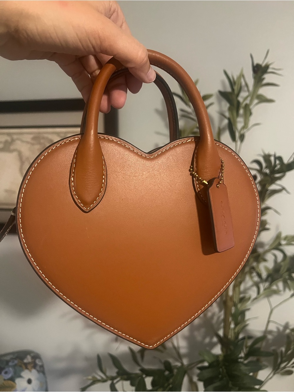 Coach Heart Bag